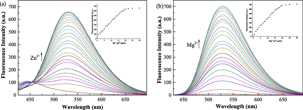 (a) Emission spectral changes of compound QN62 (20 μM) with increasing concentration of Zn2+: 0–30 μM in DMSO-H2O (4:1, v/v). (b) Emission spectral changes of compound QN62 (20 μM) with increasing concentration of Mg2+: 0–30 μM in ethanol-H2O (9:1, v/v).