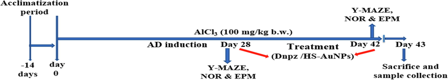 Illustration of the experimental design timeline. AlCl3 - aluminum chloride; AD - Alzheimer’s disease; Dnpz - donepezil; HS-AuNPs - Hibiscus sabdariffa-synthesized gold nanoparticles, NOR - novel object recognition, EPM - elevated plus maze.