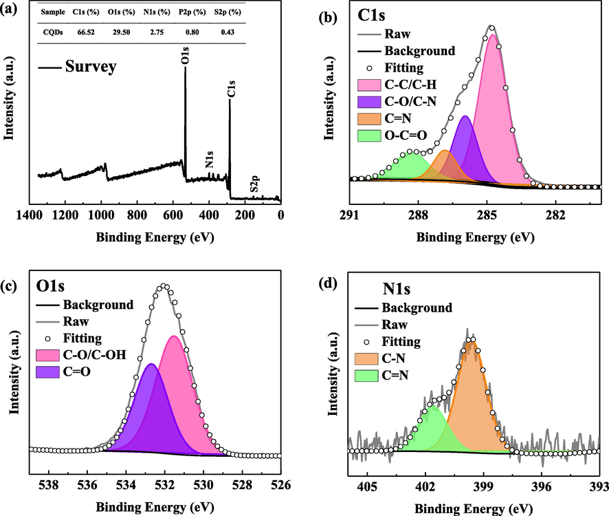 The survey and high-resolution (C1s, O1s and N1s) XPS spectrum of BCQDs.