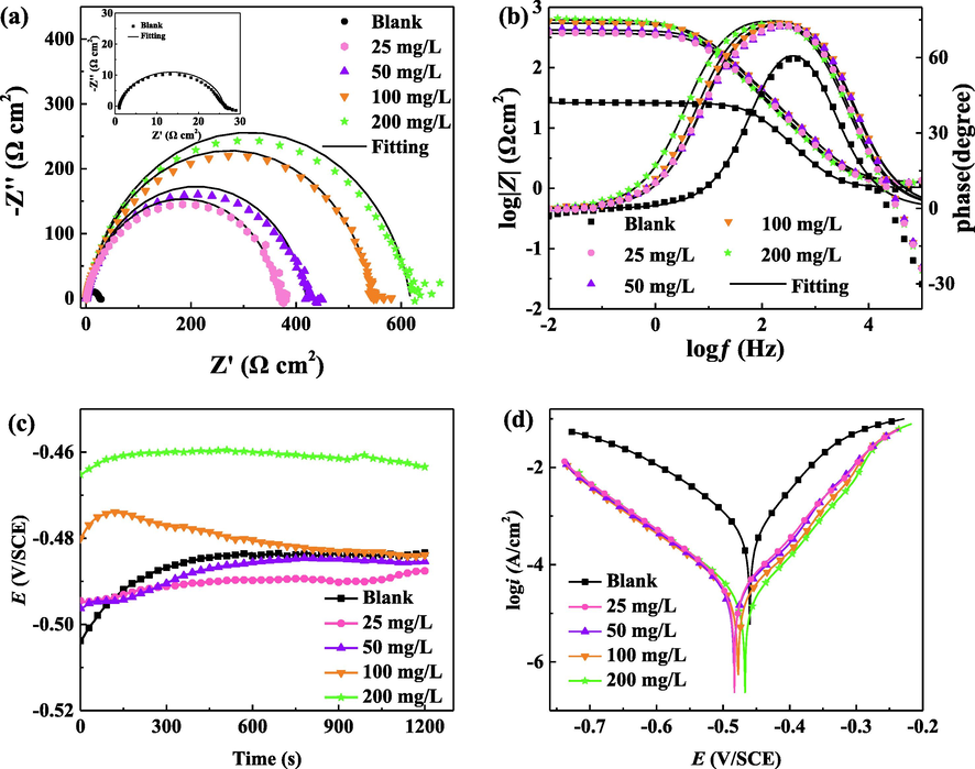 The electrochemical Nyquist (a), Bode (b) plots, open circuit potential (c), and polarization curves (d) of Q235 steel in 1 M hydrochloric acid with different concentrations of BCQDs at 298 K.