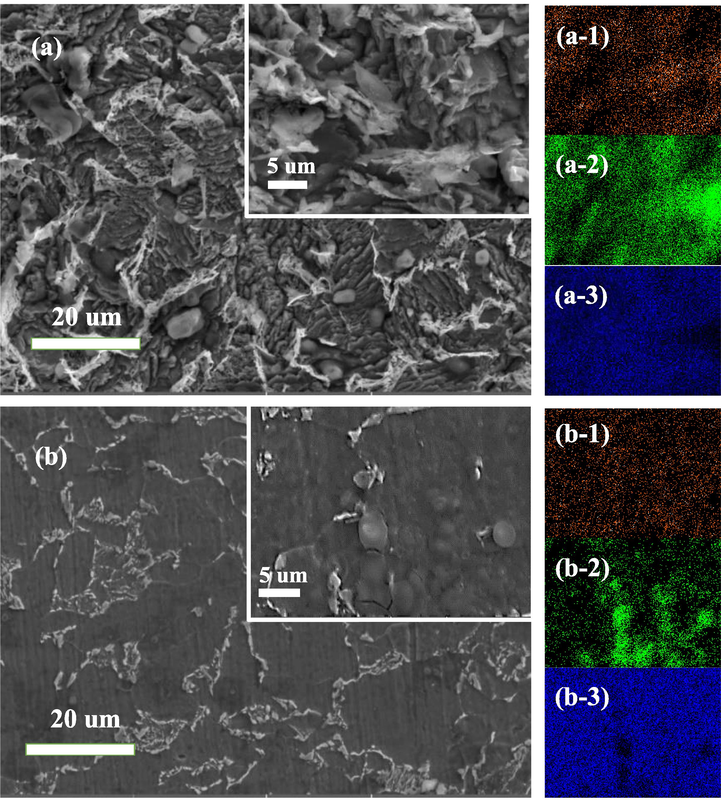 SEM corrosion morphology and element distribution of Q235 steel in various solutions (a) blank; (b) BCQDs-200 mg/L; (a-1) mapping of C for blank; (a-2) mapping of O for blank; (a-3) mapping of Fe for blank; (b-1) mapping of C for BCQDs-200 mg/L; (b-2) mapping of O for BCQDs-200 mg/L; (b-3) mapping of Fe for CQDs-200 mg/L.