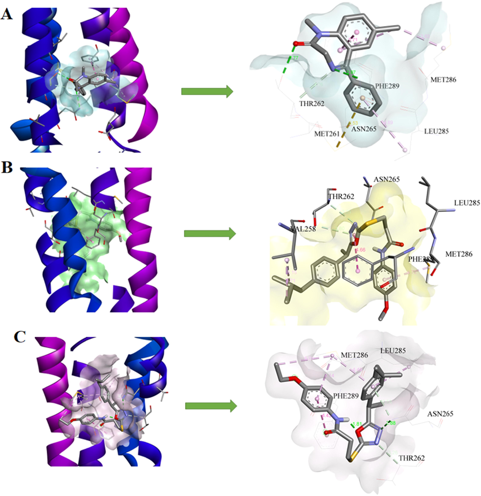 3D models and schematic representations of the interactions between 6HUP and (A) Diazepam (B) 7b and (C) 7c with their bond distances. Green dashed lines represent hydrogen bonding interactions. The π-sulfur interactions are represented by yellow dashed lines. Light pink and purple lines represent π-alkyl and π-π stacked interactions respectively.
