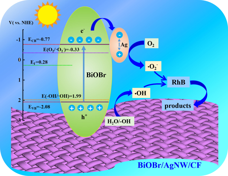 Mechanism of photocatalytic degradation of RhB under visible light irradiation.