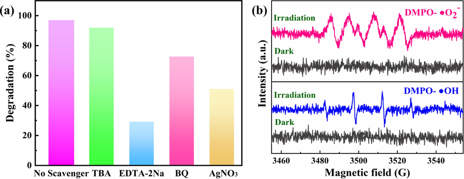 (a) Photocatalytic degradation of RhB in visible light with different scavengers, (b) ESR spectra of 9BiOBr/AgNW/CF in the methanol dispersion for DMPO-•O2– and aqueous dispersion for DMPO-•OH.