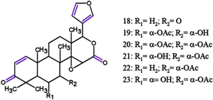 Chemical structures for compounds. (18): 7-deacetoxy-7-oxogedunin; (19): 6α-acetoxygedunin; (20): 6α-hydroxygedunin; (21): 6α-acetoxy-7α-deacetoxy-7α-hydroxygedunin; (22): gedunin; (23): 7-deacetoxy-7α-hydroxygedunin. Source: adapted from Sakamoto et al. 2015.