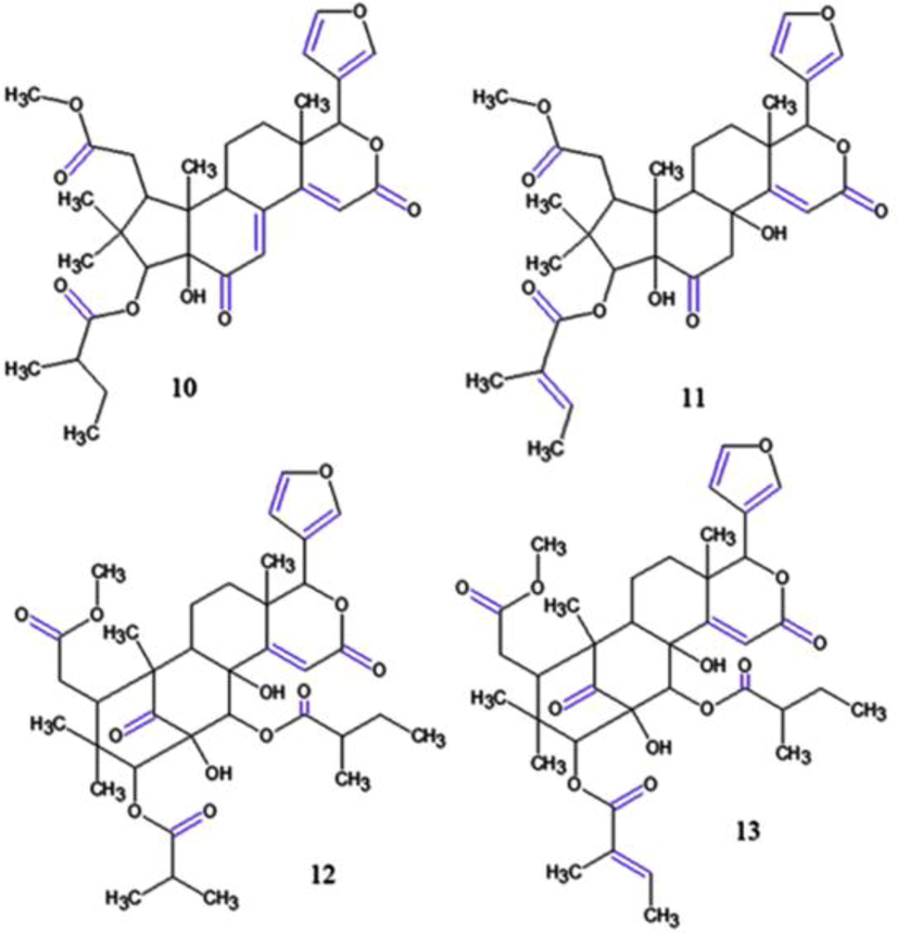 Chemical structures for compounds. (10): guianofruit A; (11): guianofruit B; (12): caraponosin E; (13): caraponosin F. Source: adapted from Sasayama et al. 2018 and Inoue et al. 2018.