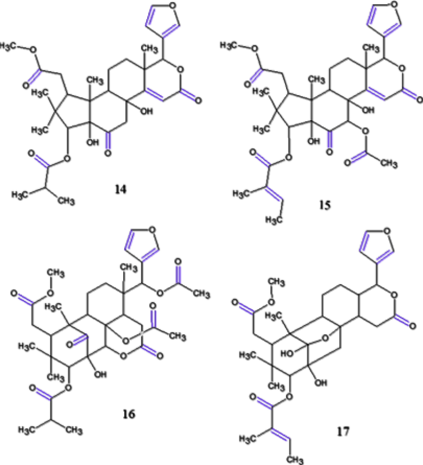 Chemical structures for compounds. (14): guianofruit C; (15): guianofruit D; (16): carapanin B and (17): carapanin C. Source: adapted from Tsukamoto et al. 2019.