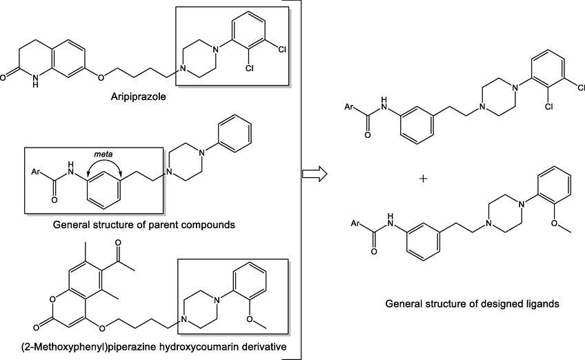 Design and general structures of new arylpiperazine ligands.