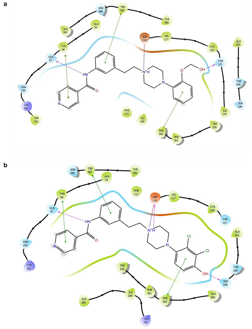 2D docking schematics of selected metabolite products of a) 8a and b) 8b, with the key receptor-ligand interactions (salt bridge–red, hydrogen bonds–blue, and aromatic interactions–green).