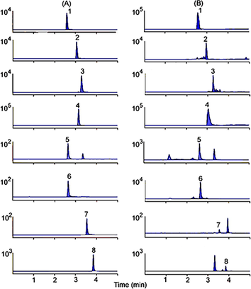 Multiple reaction monitoring (MRM) chromatograms of Veratrosine (1), Jervine (2), Cyclopamine (3), Veratramine (4), Resveratrol (5), Polydatin (6), Quercetin (7), Apigenin (8). (A) standard solution, (B) VN sample.