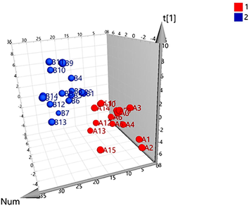 Partial least squares discriminant analysis (PLS-DA) 3D score scatter plot for raw (1) and processed VN. (2).