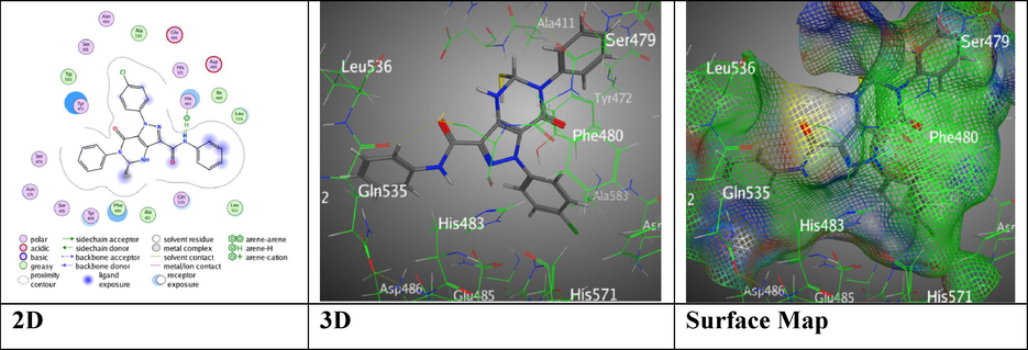 Docking interactions over pyrazolopyrimidine compound 7 with 5IVE.