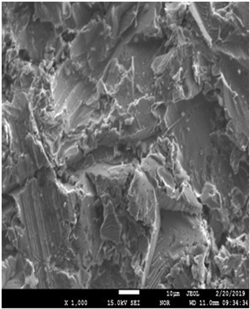 Shows EPMA and EDS of uncoated mild steel at X400.