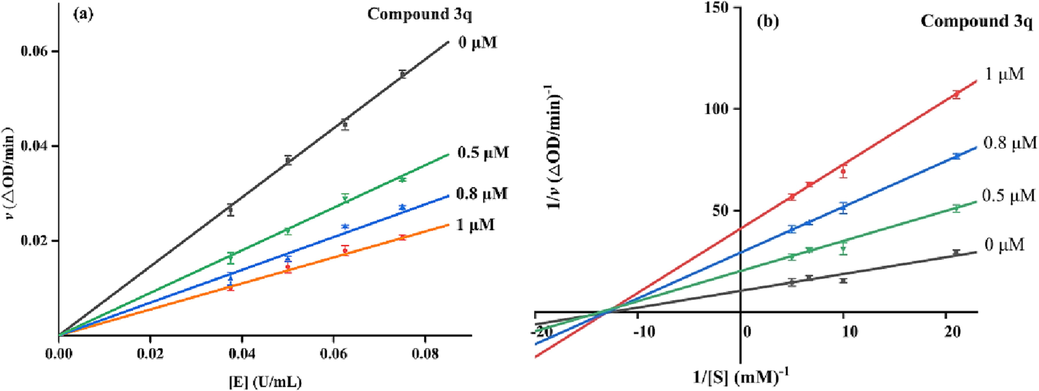 (a) The initial velocity via α-glucosidase concentration in the absence and presence of compound 3q; (b) Lineweaver-Burk plots for the inhibition α-glucosidase in the absence and presence of compound 3q.