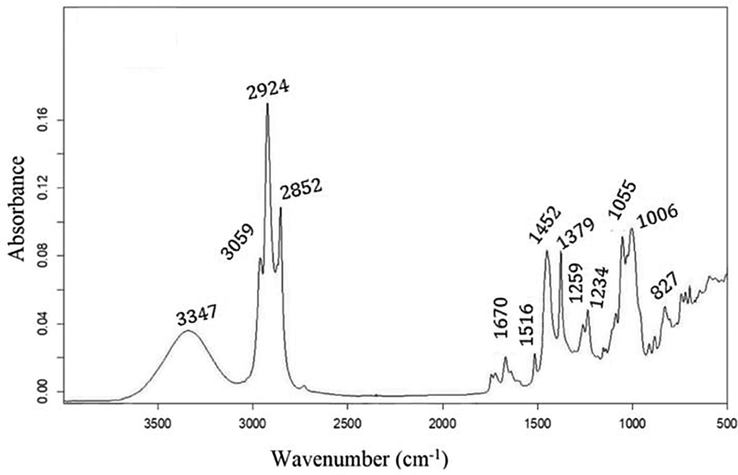 FTIR spectrum of Rumex Crispus essential oil.