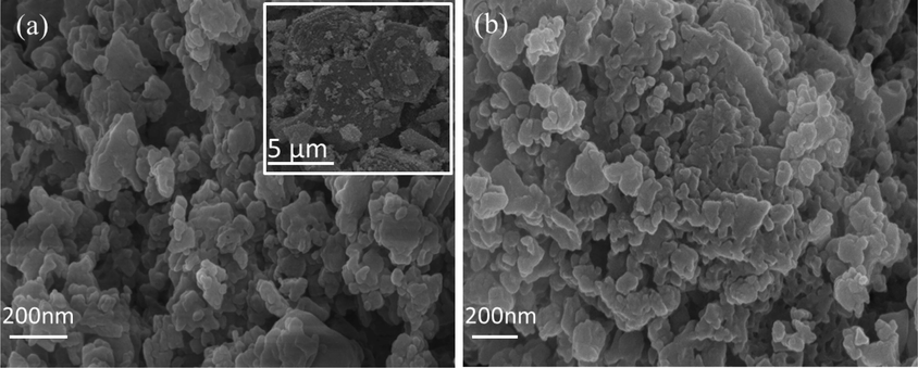 SEM images of fresh(a) and regenerative (b) samples.