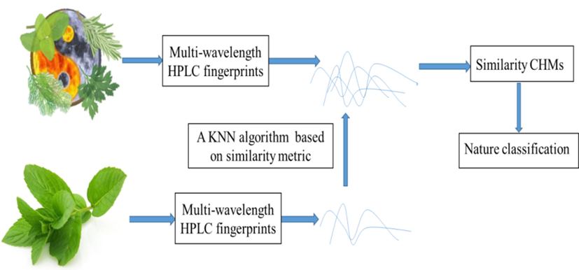 Cold-hot nature identification based on similarity metric of multi-wavelength HPLC.
