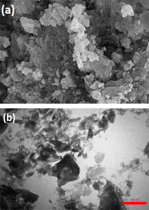SEM (a) and TEM (b) images of recycled Cu@PI-COF catalyst.