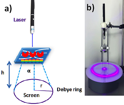 Detection procedure. (a) CIPC hydrogel with PCs-array and diffraction of laser light. (b) Detection device.