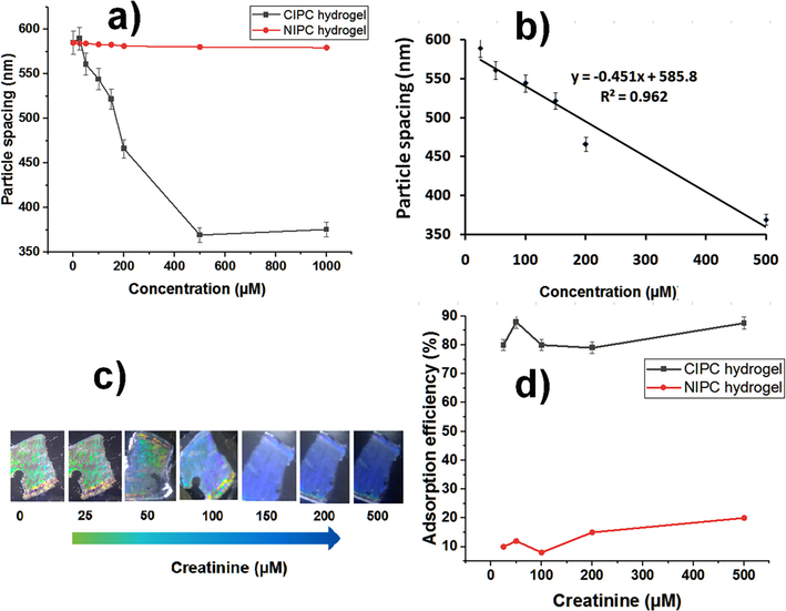 CIPC hydrogel usage for creatinine measurement. (a) Creatinine detection (250 nM-1000 µM). (b) Linear detection range (25 µM-500 µM). (c) The color change of CIPC hydrogel is monitored in visible light and corresponds to the relevant creatinine concentration. (d) Adsorption efficiency of CIPC and NIPC hydrogels.