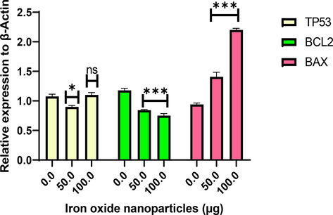 Effects of different NS-IONP concentrations (µg/mL) on the expression of signal molecules involved in the control of apoptosis. Each value represents the mean ± standard deviation, *p < 0.05; *** p < 0.001, ns-not significant.