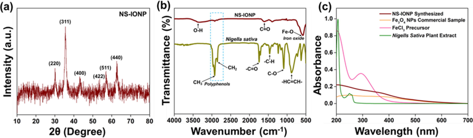 (a) X-ray diffraction analysis of the NS-IONPs, (b) Fourier transformation infrared spectra of N. sativa and the IONPs, and (c) UV–vis analysis of the NS-IONPs, N. sativa, FeCl3, and commercial Fe3O4.