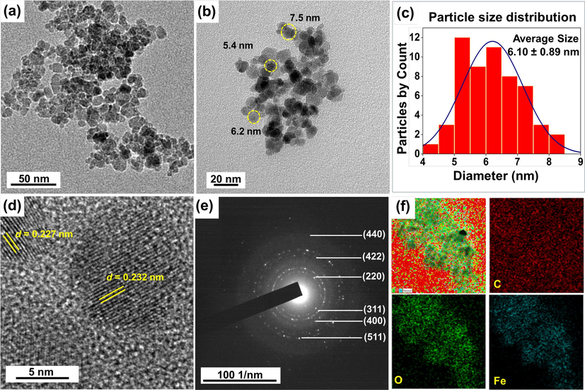 High-resolution transmission electron microscopy (HR-TEM) images of (a,b) NS-IONPs at different magnifications, (c) particle size distribution of selected NS-IONPs, (d) lattice fringe width of the NS-IONPs, (e) SAED pattern of the NS-IONPs, and (f) elemental mapping of the NS-IONPs showing the presence of Fe, O, and C.