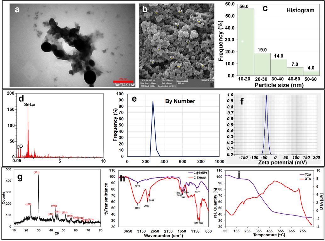 A) the tem image with 20.34 nm average size with semi-spherical shape; b) the SEM image with 23.47 nm average size; c) the histogram obtained from SEM image; d) the EDX analysis containing C, O, and Se bonds; e) The DLS graph with 266.3 nm average size; f) zeta potential analysis with −44.75 mV; g) XRD data of green synthesized C@SeNPs; h) FT-IR graph of C@SeNPs and C-Extract; i) TG/DTA data of C@SeNPs.