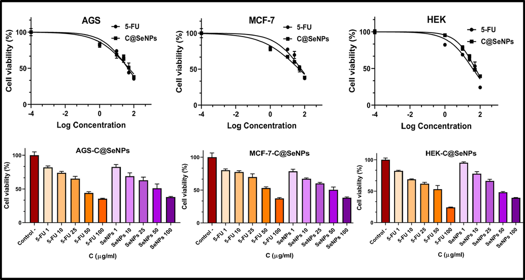 Effect of biosynthesized C@SeNPs on viability of AGS, MCF-7, and HEK cells determined by MTT assays.