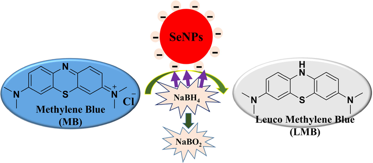 The mechanism of action of biofabricated C@SeNPs in the reduction of methylene blue (MB) in the presence of NaBH4.