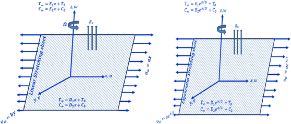 Physical model for linear and exponential stretching sheet.