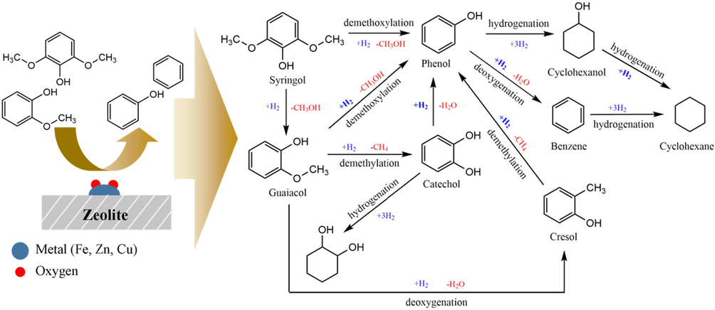 Possible reaction pathways in the bio-oil component HDO.