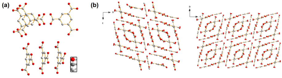 (a) Supramolecular structure of recrystallized 1,3,5-benzenetricarboxylic acid (RCTMA). (b) A schematic representation of the RCTMA structure viewed down the b axis.