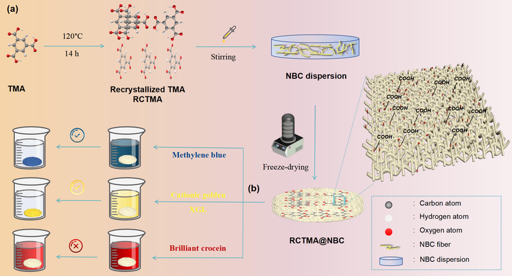 (a) Schematic illustration for preparation of RCTMA@NBC and (b) their adsorption behaviors of different organic dyes.