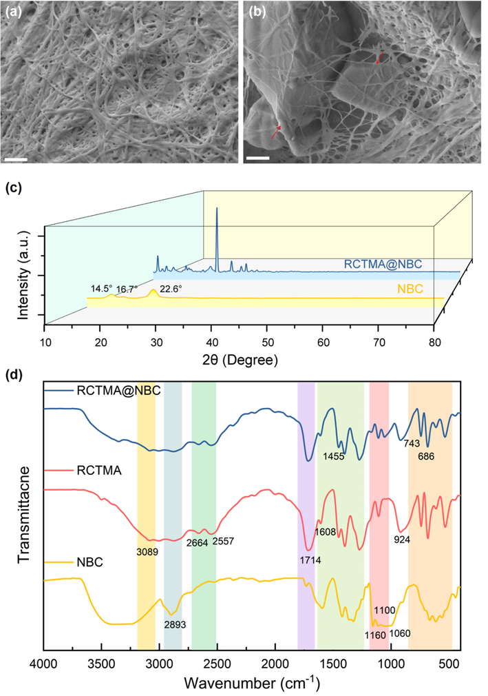 SEM photographs of (a) pure NBC and (b) RCTMA@NBC. (c) XRD spectrum of pure NBC and RCTMA@NBC. (d) FTIR spectra of NBC, RCTMA and RCTMA@NBC, respectively.