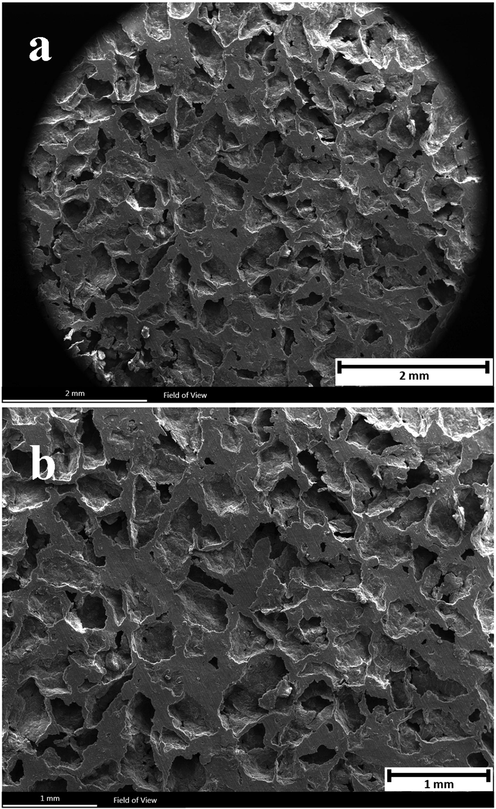 SEM images of the surface of the Mg-6Zn-2GO scaffold in two scales (a) 2 mm and (b) 1 mm.