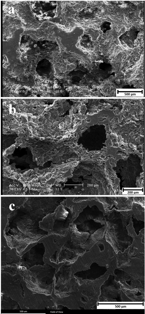 SEM images of the (a) Mg-6Zn scaffold, (b) Mg-6Zn-1GO scaffold, (c) Mg-6Zn-2GO scaffold.