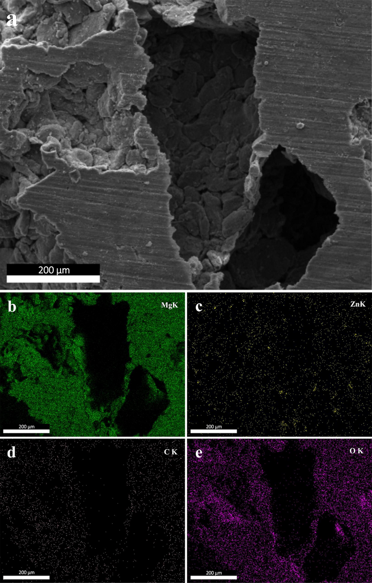 (a) SEM image of Mg-6Zn-1GO scaffold, and corresponding elemental mappings of elements (b) Mg, (c) Zn, (d) C, and (e) O.