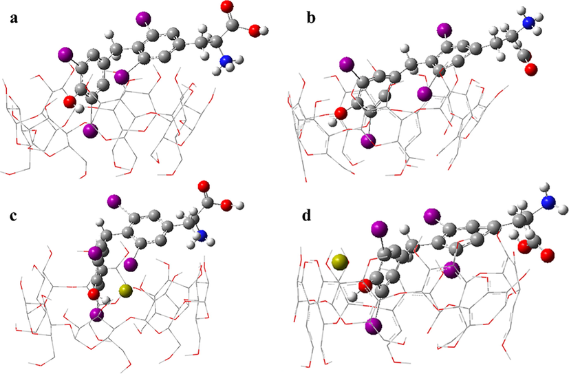 Structure for the complexes of (a) [β-CD + D-T4 + H]+; (b) [β-CD + L-T4 + H]+; (c) [β-CD + D-T4 + Ca]2+; (d) [β-CD + L-T4 + Ca]2+.
