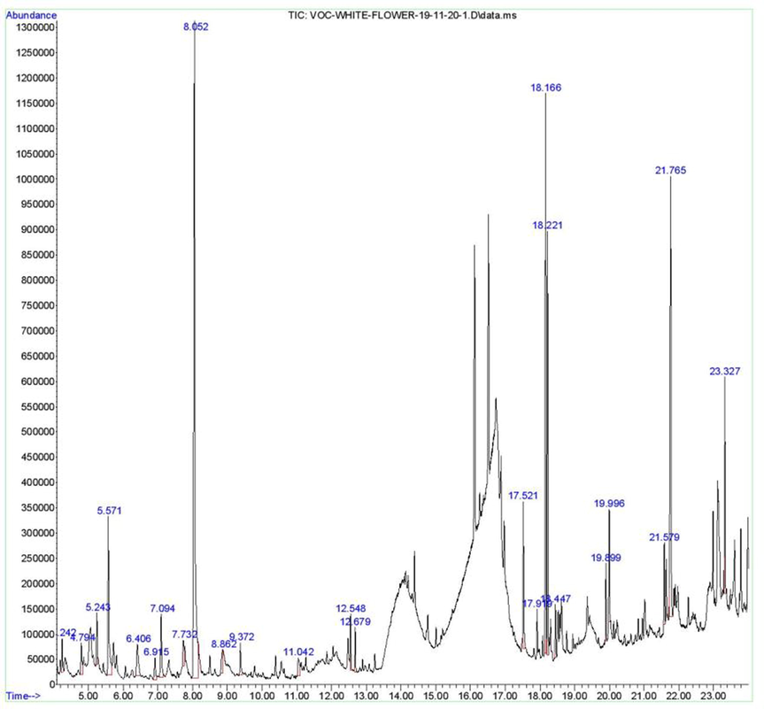 GC–MS chromatogram of methanolic flower extract of Plumeria alba.