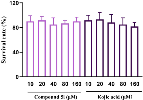 The acute toxicity assay of compound 5l and kojic acid in zebrafish.