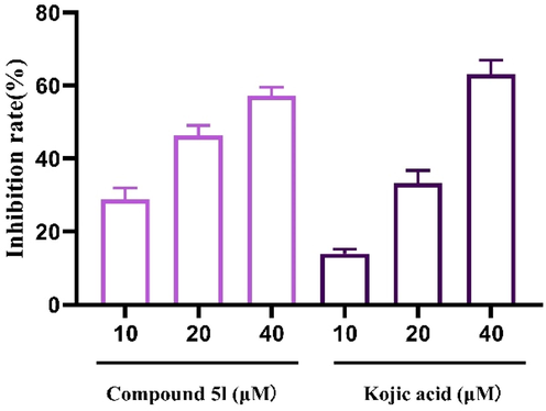 The tyrosinase inhibitory of compound 5l and kojic acid in zebrafish.