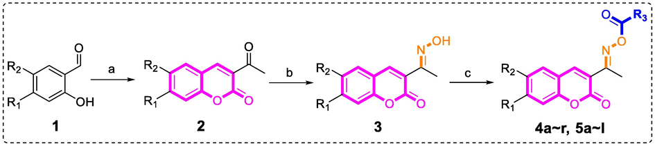 Synthesis of coumarin-cinnamic acid/benzoic acid derivatives 4a ∼ r and 5a ∼ l. Reagents and condition: (a) Ethyl acetaacetate, Piperidine, EtOH, 80 °C; (b) Hydroxylamine hydrochloride, Pyridine, EtOH, rt; (c) Substituted benzoic acid chloride/cinnamic acid chloride, triethylamine, DCM, rt.