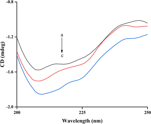 The CD spectra of tyrosinase and compound 5l complex. The molar ratios of tyrosinase to 5l were 1: 0, 1: 1, and 1: 2 for curves a-c, respectively.