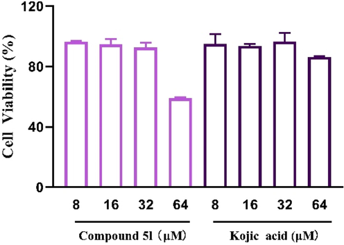 The cytotoxicity assay of compound 5l and kojic acid in B16F10 cells.