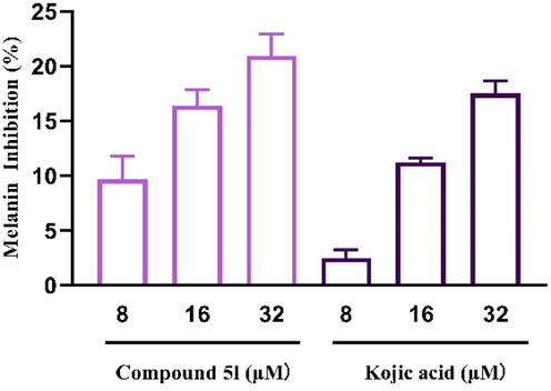 The melanin inhibition of compound 5l and kojic acid in B16F10 cells.