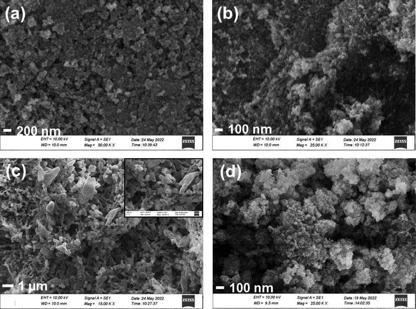 SEM images of (a) P25 TiO2 (b) Cu-TiO2 (c) g-C3N4 (d) Cu-TiO2/50- C3N4.