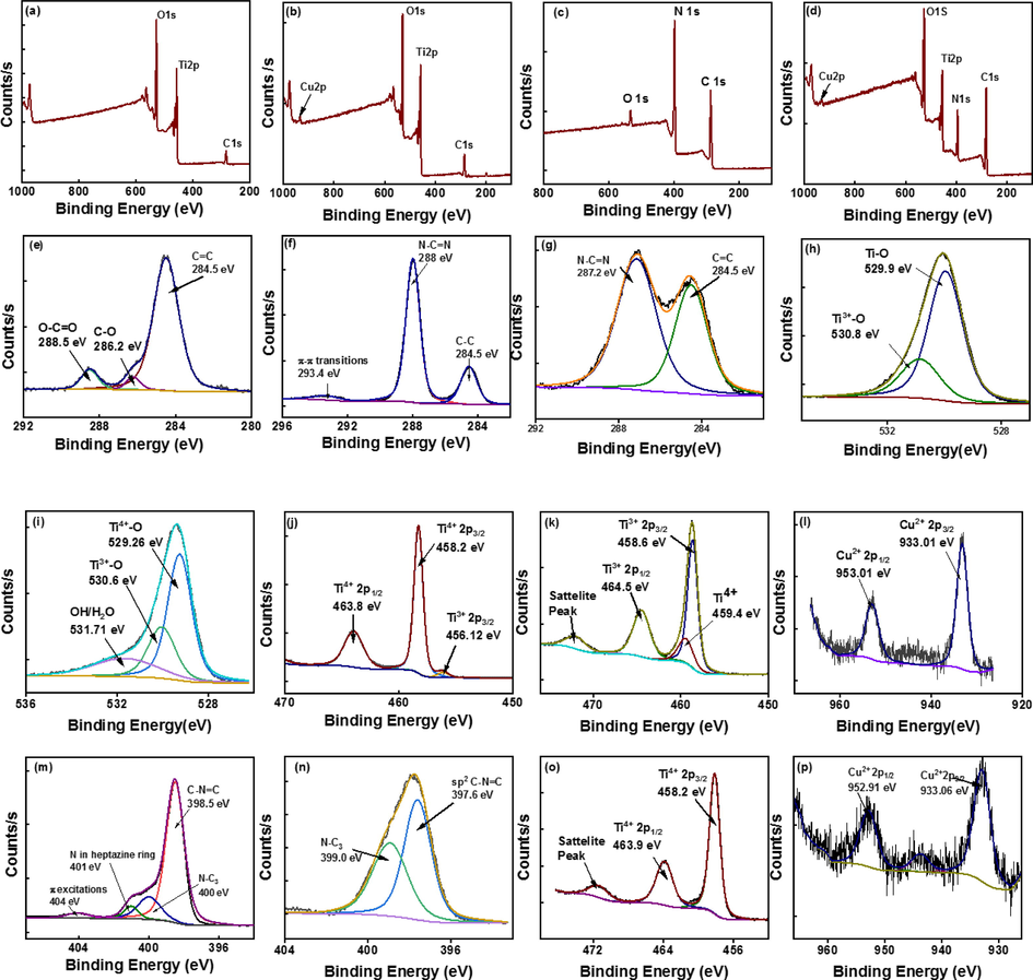 Survey spectra of (a) P25 TiO2 (b) Cu-TiO2 (c) g-C3N4 (d) Cu-TiO2/50-C3N4, C 1 s higher resolution spectrum of (e) P25 TiO2 (f) g-C3N4 (g) Cu-TiO2/50-C3N4, O 1 s higher resolution spectrum of (h) P25 TiO2 (i) Cu-TiO2, Ti 2p higher resolution spectrum of (j) P25 TiO2 (k) Cu-TiO2, of (l) Cu 2p higher resolution spectrum Cu-TiO2, N 1 s higher resolution spectrum of (m) g-C3N4 (n) Cu-TiO2/50-C3N4 (o) Ti 2p higher resolution spectrum of Cu-TiO2/50-C3N4 (p) Cu 2p higher resolution spectrum of Cu-TiO2/50-C3N4.