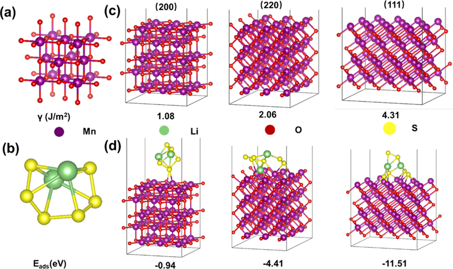 a) the crystal model of MnO, b) the molecular model of Li2S6, c) the slab models of different facets of MnO and corresponding surface energies (γ), and d) the adsorption model of of Li2S6 on different crystal facets and corresponding adsorption energies (Eads).