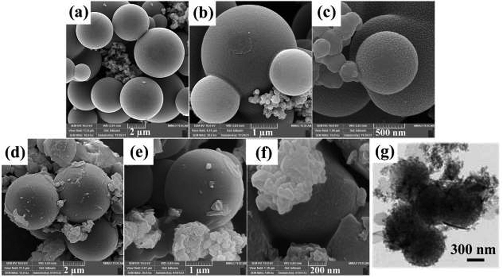 SEM images in the different magnifications of: (a-c) CuMn2O4 nanostructures and (d-f) CMO/C NCs, (g) TEM image of CMO/C NCs.